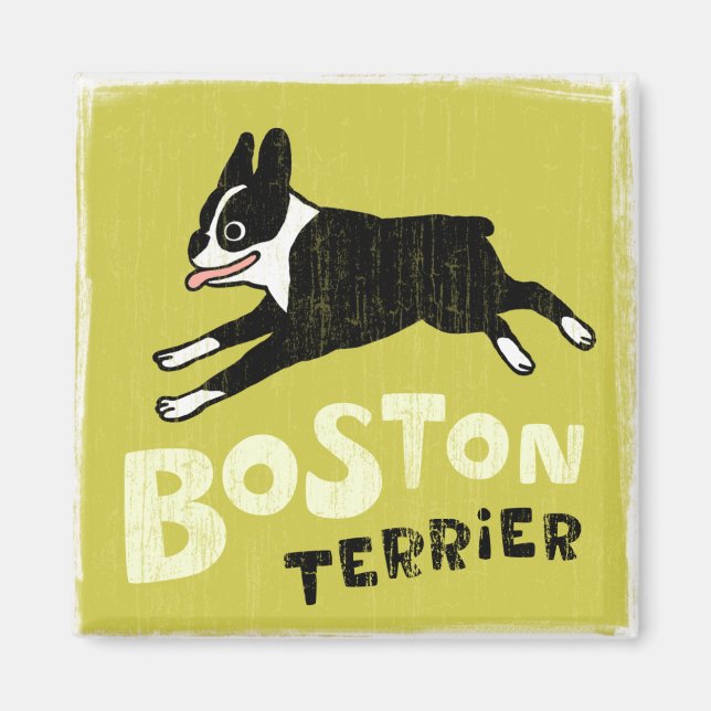 Imã Terrier de Boston (Frente)