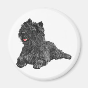 Imã Terrier do Cairn Negro