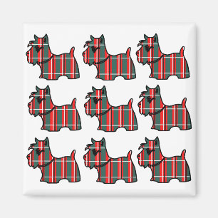 IMÃ TERRIER ESCOCÊS