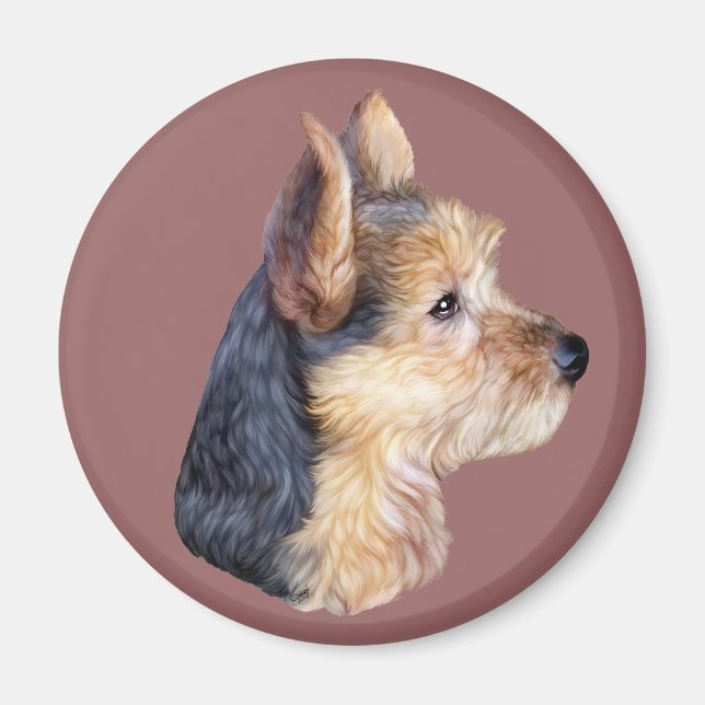 Imã Terrier HS australiano (Frente)
