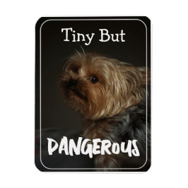 Ímã Terrier Mãe de Cachorro Personalizada Fofa Pet