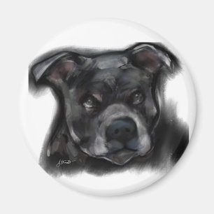 Imã Terrier Staffordshire Americano
