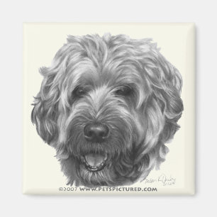 Imã Terrier Wheaten Macio-Revestido