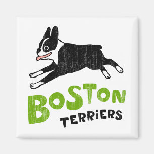 Imã Terriers de Boston