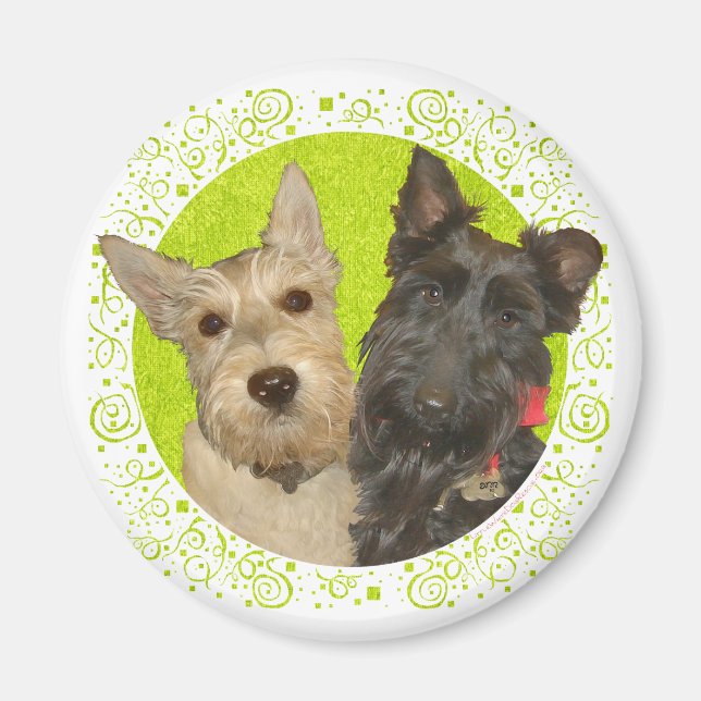 Imã Terriers Escoceses Trigo e Preto (Frente)
