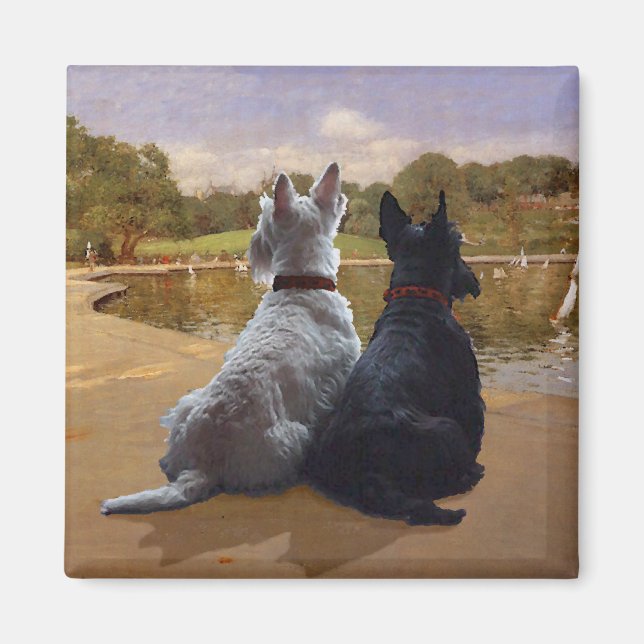 Imã Terriers Escoceses Trigo e Preto (Frente)