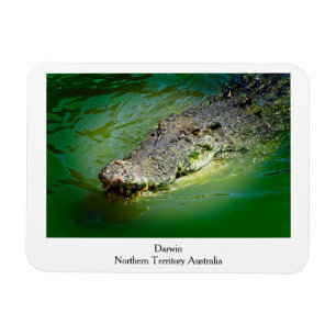 Ímã Território Norte Darwin - Magnet Crocodilo