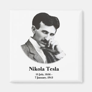 Imã Tesla novo