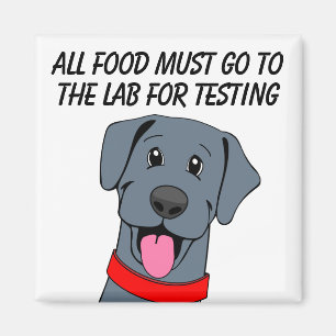 Imã Testador de Comida Black Labrador