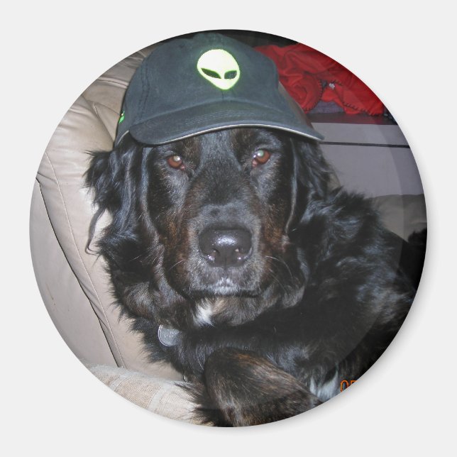 IMÃ TESTE O CÃO DA ALIENÍGENA (Frente)