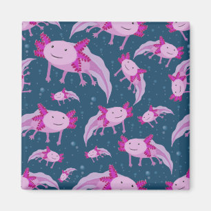 Imã Teste padrão de passeio mexicano dos peixes