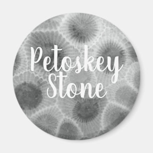 Imã Teste padrão de pedra de Petoskey