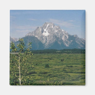 Imã Tetons grande