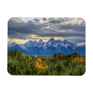 Ímã Tetons grande