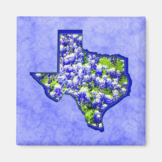 IMÃ TEXAS BLUEBONNETS (Frente)