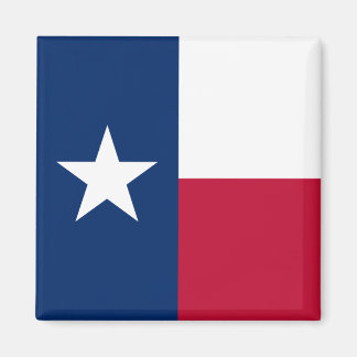 Imã Texas Flag