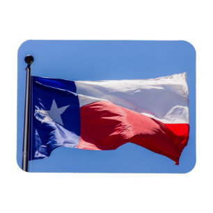 Ímã Texas Flag