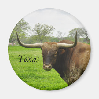 Imã Texas Longhorn Round Magnet