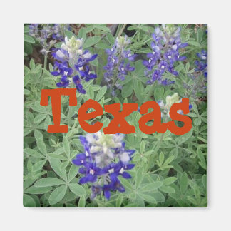 Imã Texas Magnet