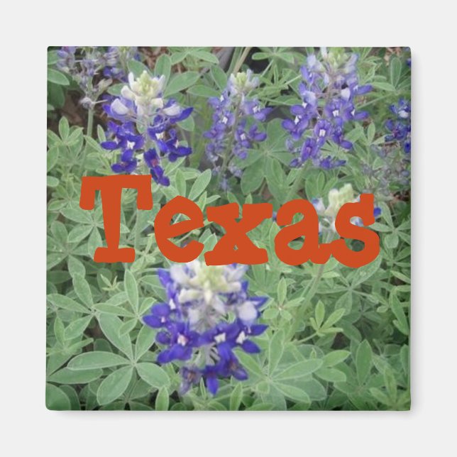 Imã Texas Magnet (Frente)