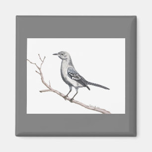 Imã Texas Mockingbird Magnet