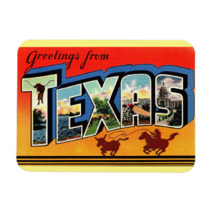 Ímã Texas State Magnet