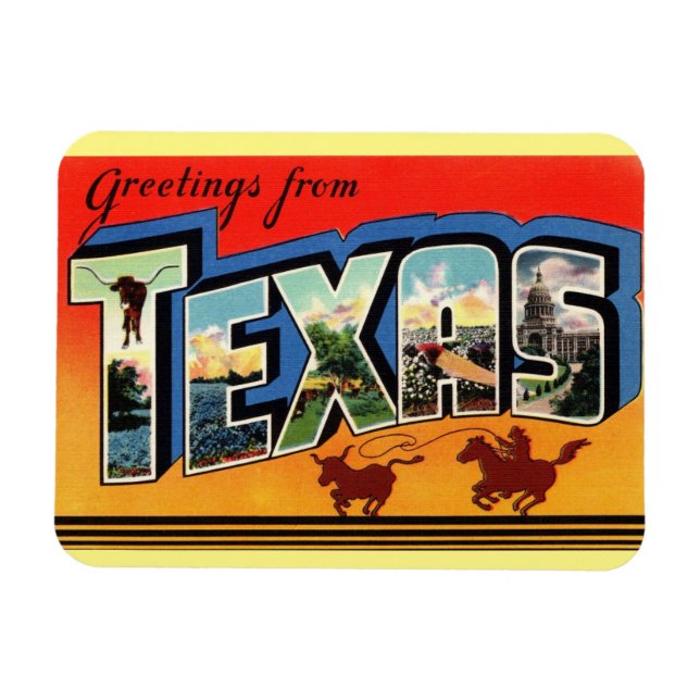 Ímã Texas State Magnet (Horizontal)