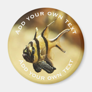 Imã Texto Personalizado Submarino de Stripy Angelfish 