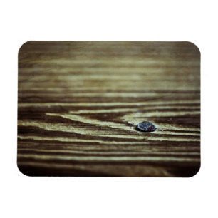 Ímã Textura de grãos de madeira por Shirley Taylor