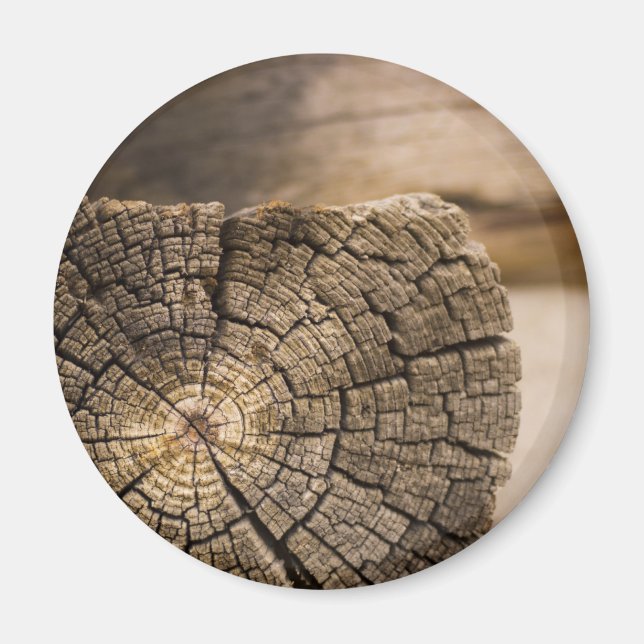 Imã Texturas de Cabina Antigas (Frente)