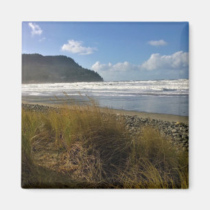 Imã The Cove, Seaside, Oregon