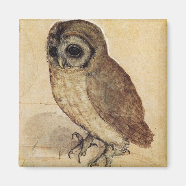 Imã The Little Owl (por Albrecht Durer) (Frente)