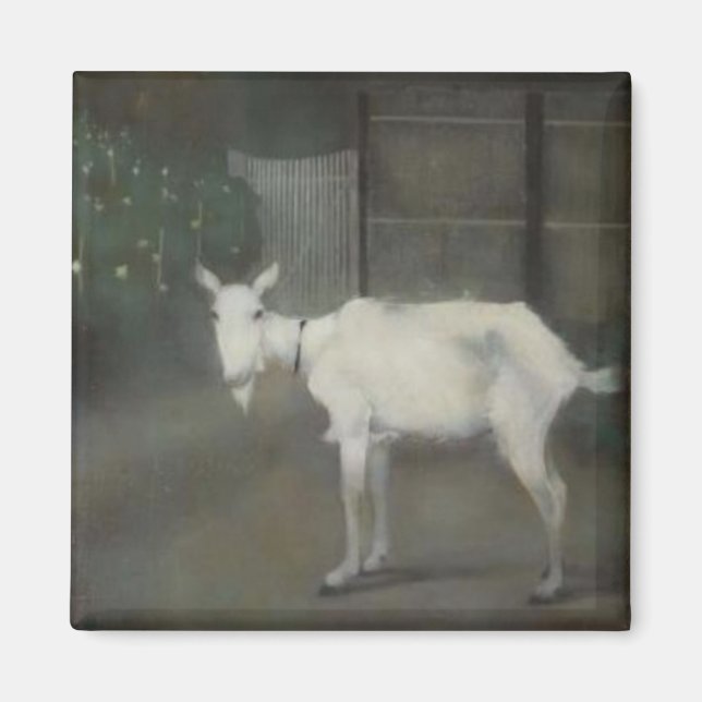 Imã The Old Goat (por Jan Mankes) (Frente)