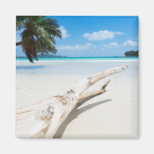 Imã The Tropical Paradise that is The Seychelles