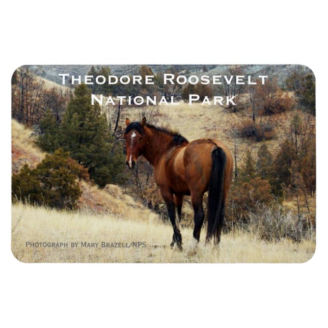 Ímã Theodore Roosevelt NP Souvenir Magnet (Horizontal)