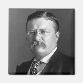 Imã Theodore Roosevelt Teddy Presidente Republicano