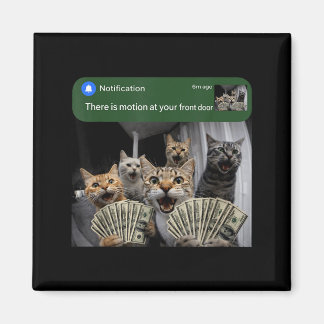 Imã There is motion at front door funny cat motion mem