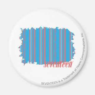 Imã Thin Stripes Aqua 4