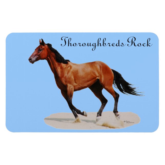 Ímã Thoroughbreds Rock Premium Magnet (Horizontal)