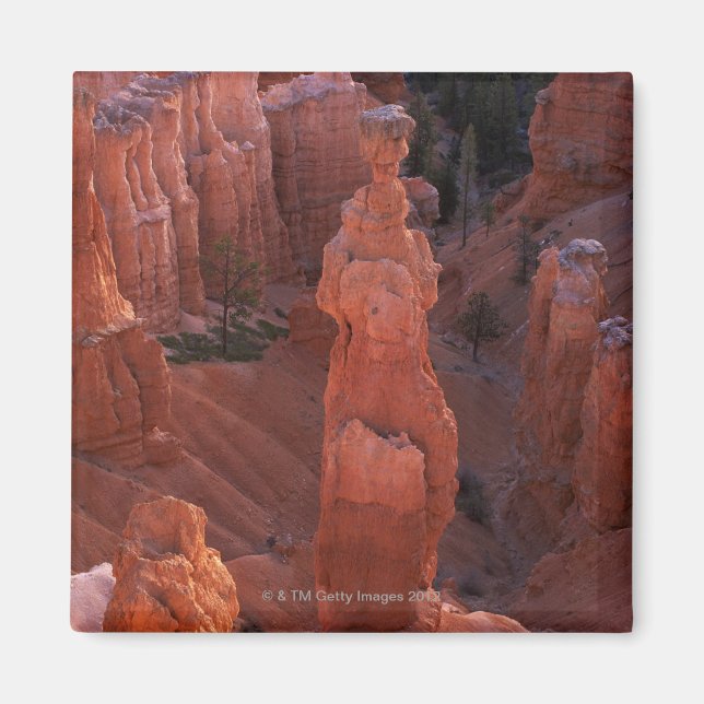 Imã Thor's Hammer hoodoo em Navajo Trail (Frente)