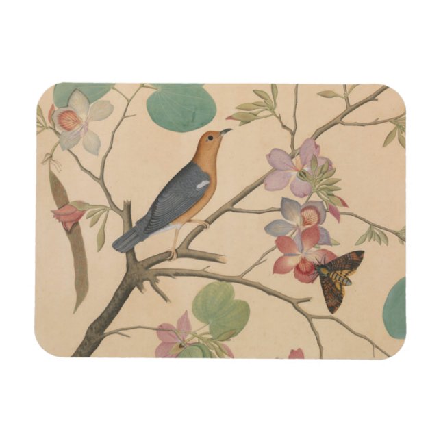 Ímã Thrush e Moth no chão das orquídeas (Horizontal)