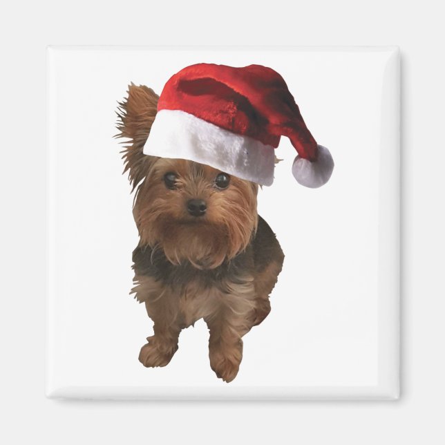 Imã thumbnail_Santa Hat Yorkie (Frente)