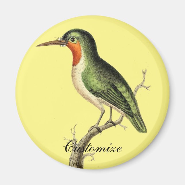 Imã Thunder_Cove do Sol Bastante (Frente)