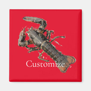 Imã Thunder_Cove, lagosta fresca de madeira