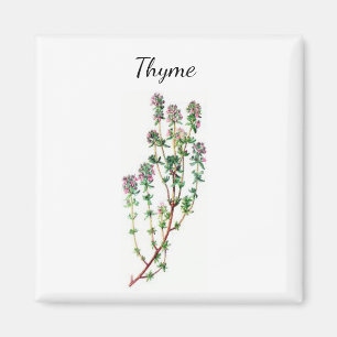 Imã Thyme Herb Magnet