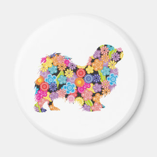 Imã Tibetano - espanhol