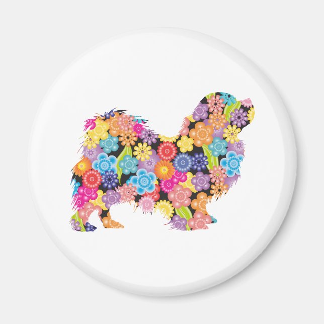 Imã Tibetano - espanhol (Frente)