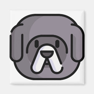 Imã Tibetano Mastiff
