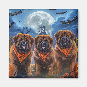 Imã Tibetano Mastiff Halloween Spooky