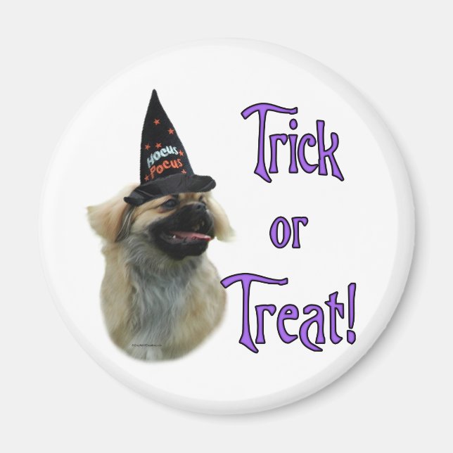 Imã Tibetano Spaniel Trick (Frente)